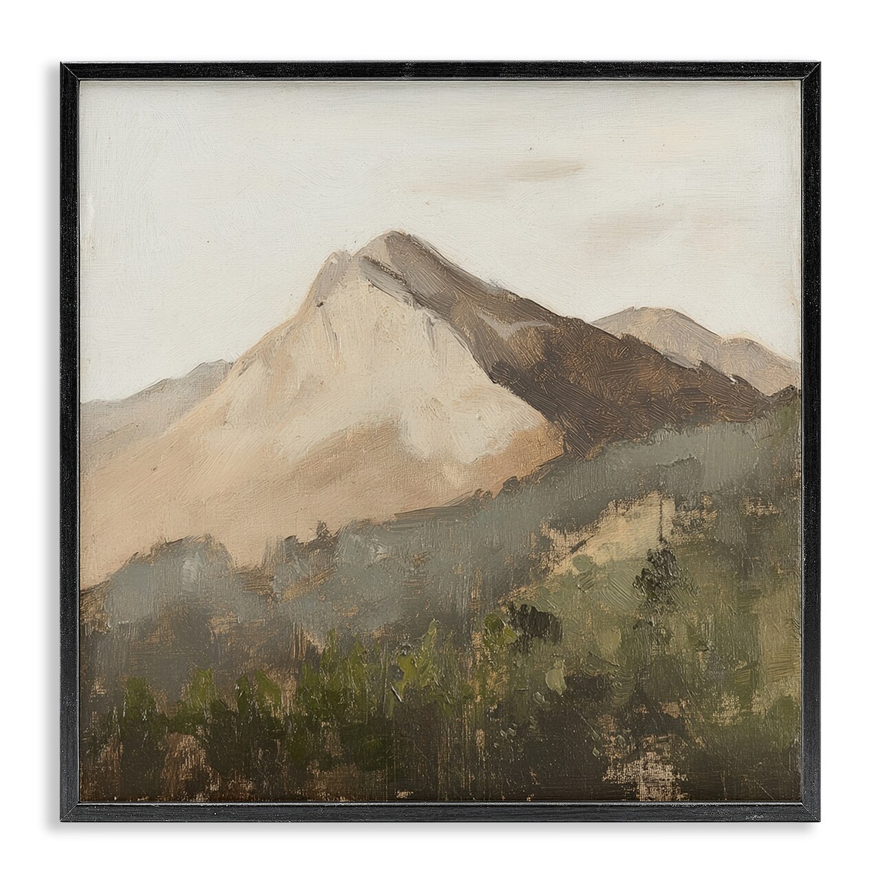 Stupell Industries Sierra Mountain Landscape Framed Giclee, design by Petal Prints Design